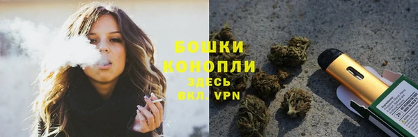 шишки Баксан