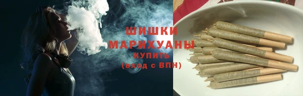 шишки Баксан