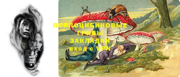 шишки Баксан