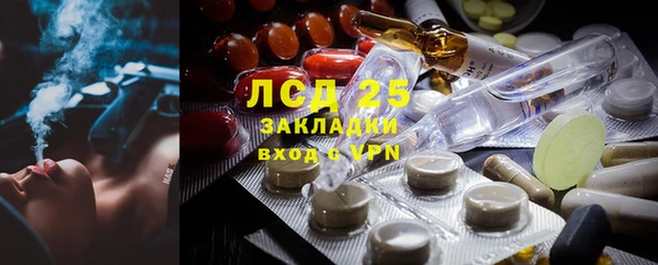 шишки Баксан