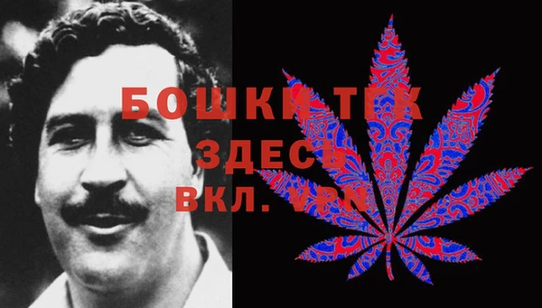 шишки Баксан