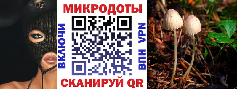 сайты даркнета телеграм  Бор  Галлюциногенные грибы GOLDEN TEACHER 