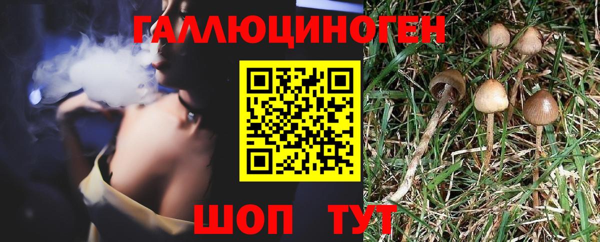 Псилоцибиновые грибы Cubensis  купить наркотик  Бор  Вход с VPN 